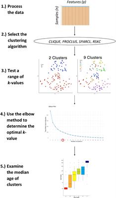 A Practical Guide to Sparse k-Means Clustering for Studying Molecular Development of the Human Brain